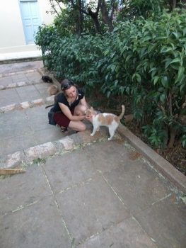 Iris helps out feeding a cat colony in historic Athens, cared for by Nine Lives volunteers