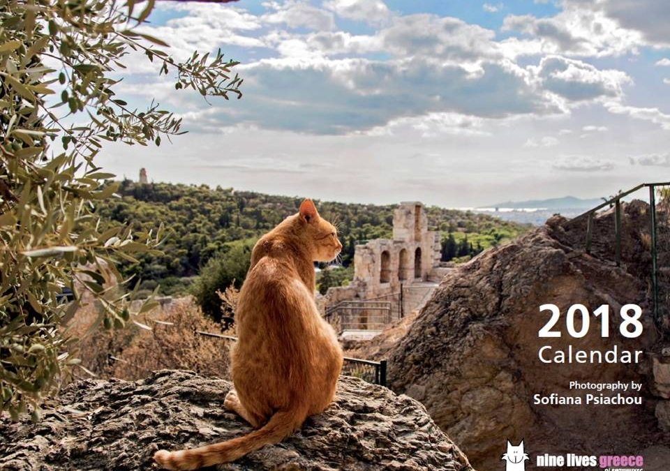 Cover of this year's cat calendar with gorgeous photos by Sofiana Psiachou