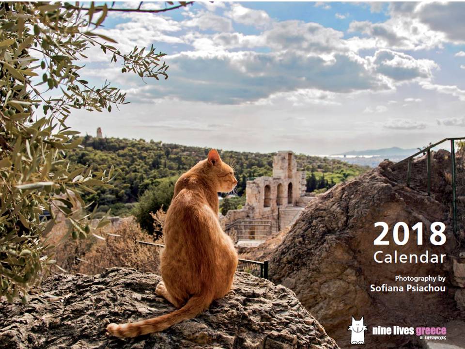 Cover of this year's cat calendar with gorgeous photos by Sofiana Psiachou