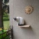 Pantelis, a former stray, now happy and safely enjoying his net-fenced balcony.