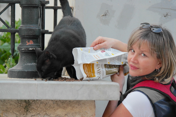 Eleni Kefalopoulou feeding a stray cat