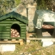 Shelters built for the cat colony to use during inclement weather.