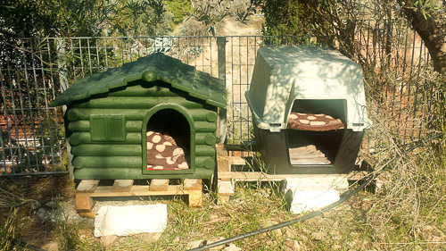 Shelters built for the cat colony to use during inclement weather.