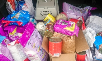 Το πίσω μέρος του αυτοκινήτου έχει γεμίσει από γατο-τροφές που δώρισαν οι μαθητές της ομάδας διάσωσης αδέσποτων ζώων
