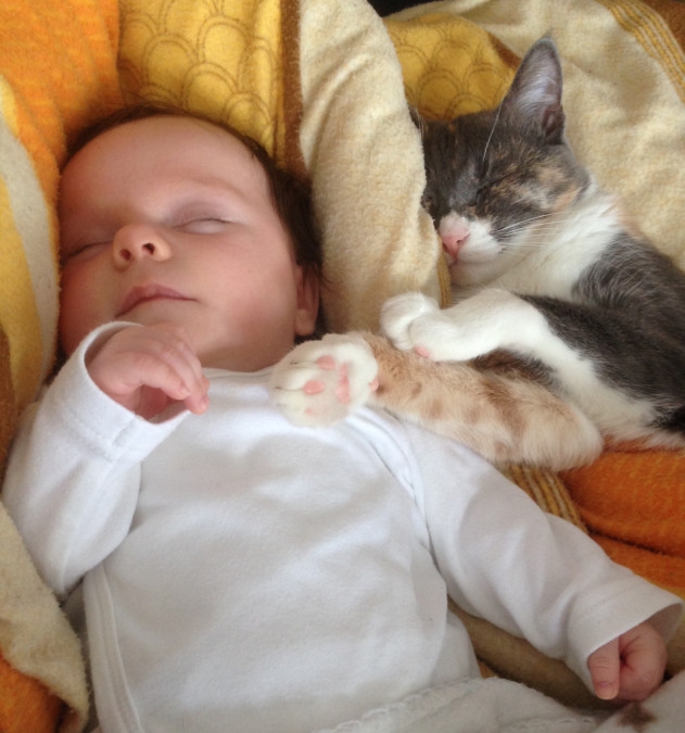 A sleeping baby with a cat snuggled up next to it.