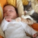 A sleeping baby with a cat snuggled up next to it.