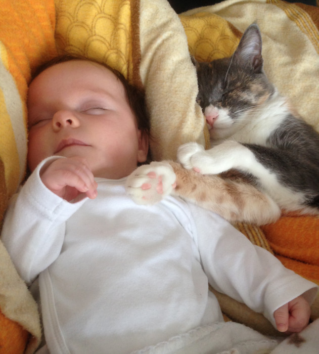 A sleeping baby with a cat snuggled up next to it.