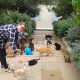 Two members of the Nine Lives cat feeding team taking care of one colony of cats.
