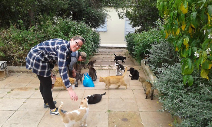 Two members of the Nine Lives cat feeding team taking care of one colony of cats.