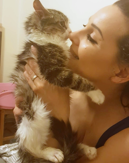 A young white and tabby cat being held up for kisses by her foster mom.
