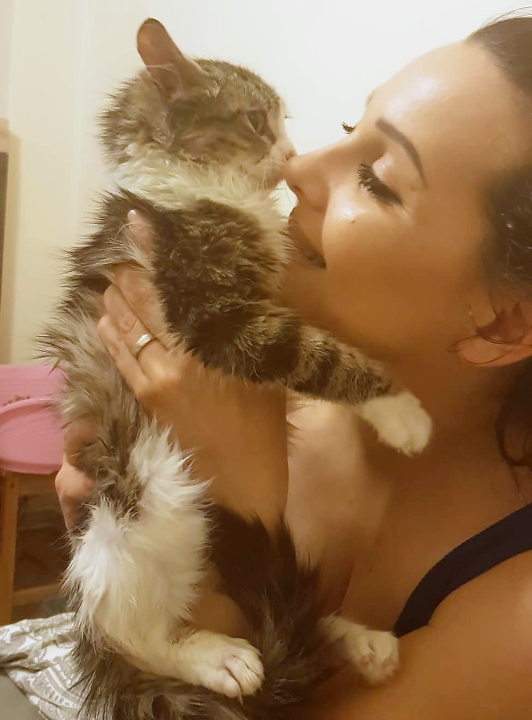 A young white and tabby cat being held up for kisses by her foster mom.