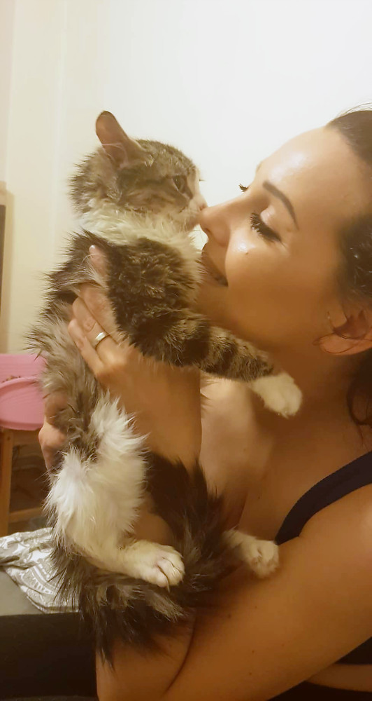 A young white and tabby cat being held up for kisses by her foster mom.