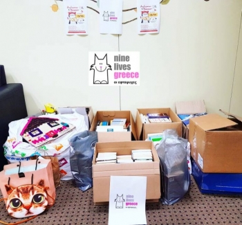 A compilation of donations gathered in front of a wall with posters of Nine Lives bazaar on top.