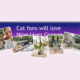 The feature picture for the blog post, 'Cat fans will love Nine Lives Greece' including a collage of cats.