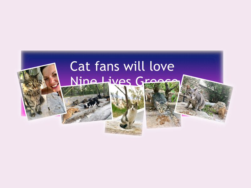 The feature picture for the blog post, 'Cat fans will love Nine Lives Greece' including a collage of cats.