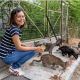 Nine Lives volunteer feeds the cats on her normal route while giving a cat tour of Athens