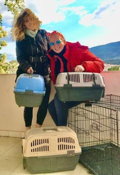 Two women who rescue cats, including Teddy