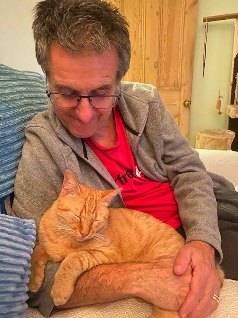 The author who adopted this orange cat while travelling in Greece