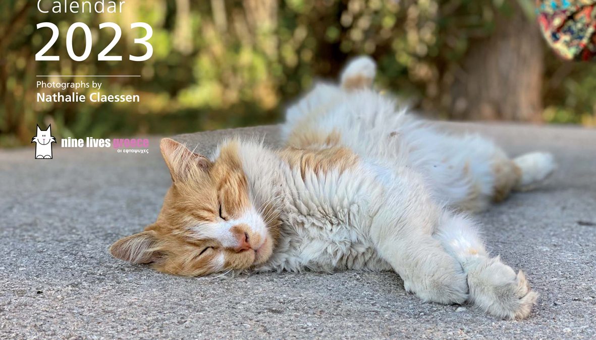 Cover of a calendar featuring a sleeping cat