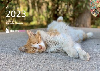 Cover of a calendar featuring a sleeping cat