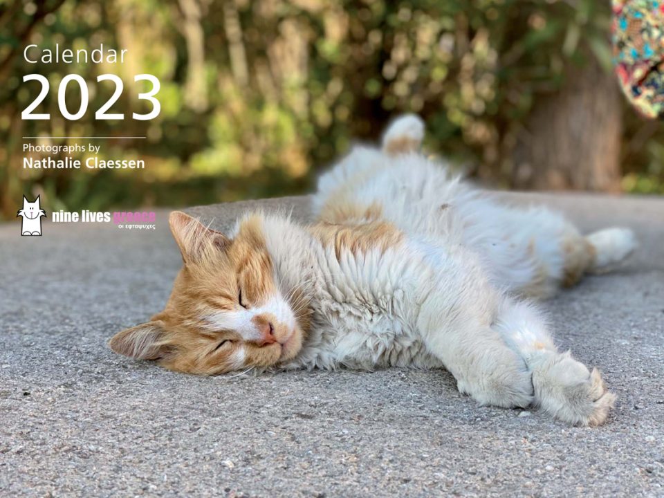 Cover of a calendar featuring a sleeping cat