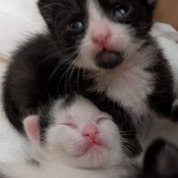 PXL_20250604_080616547~2