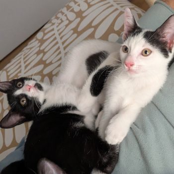 PXL_20250803_095243585