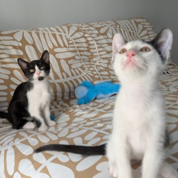 PXL_20250803_144657916-EDIT