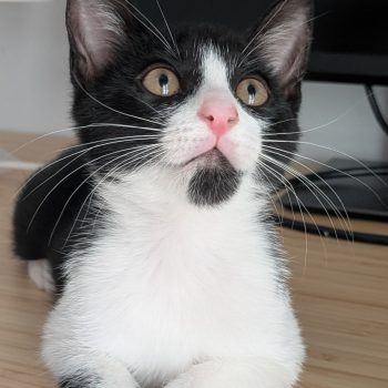 PXL_20250805_141249392.PORTRAIT.ORIGINAL