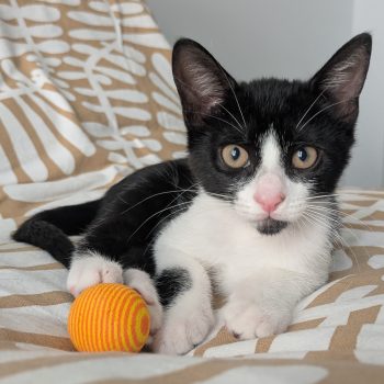 PXL_20250805_144710059~2