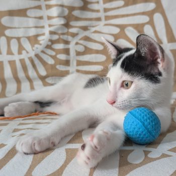 PXL_20250805_144832835