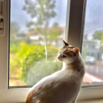 WhatsApp Image 2025-11-04 at 18.56.52_2c5de89b