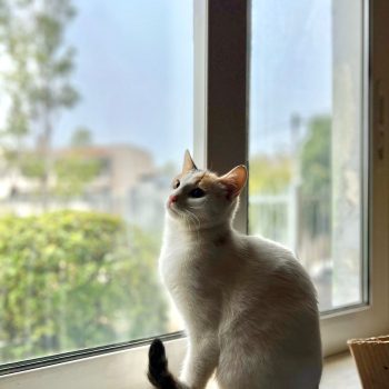 WhatsApp Image 2025-11-04 at 18.56.52_a03b9a9f