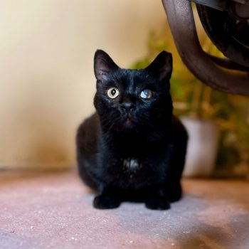 WhatsApp Image 2025-11-04 at 18.56.52_aa607856