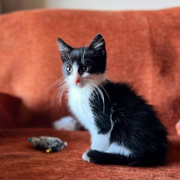 WhatsApp Image 2025-12-17 at 11.34.46 (2)