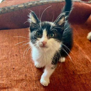 WhatsApp Image 2025-12-17 at 11.34.47 (3)